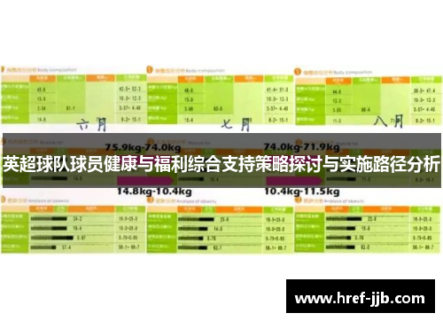 英超球队球员健康与福利综合支持策略探讨与实施路径分析