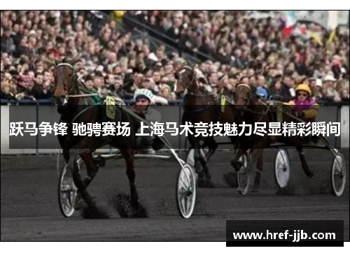 跃马争锋 驰骋赛场 上海马术竞技魅力尽显精彩瞬间
