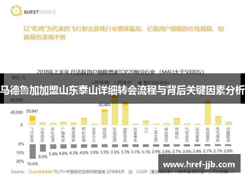 马德鲁加加盟山东泰山详细转会流程与背后关键因素分析